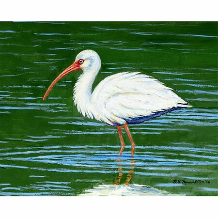 BETSY DRAKE 24 x 30 in. Dicks White Ibis Outdoor Wall Hanging TP378